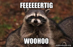 Evil Plotting Raccoon