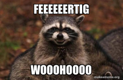 Evil Plotting Raccoon