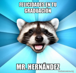 Lame Pun Coon