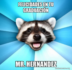 Lame Pun Coon