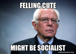 Bernie Sanders