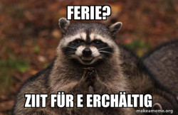 Evil Plotting Raccoon
