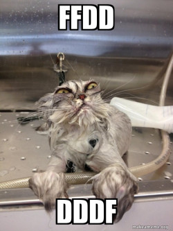 Cat Bath Returns