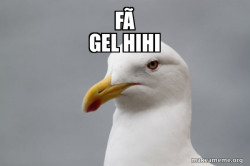 Stuff That Didn't Happen Seagull