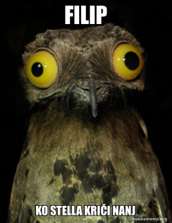 Weird Stuff I do Potoo