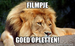 Confession Lion