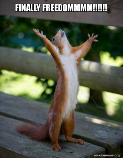 Happy Squirrel
