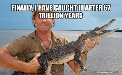 Steve irwin