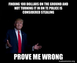Trump Everything is FIne