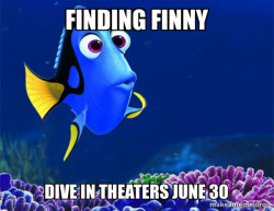 Dory from Nemo  (5 second memory)