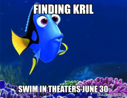 Dory from Nemo  (5 second memory)
