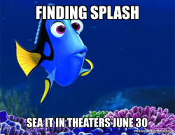 Dory from Nemo  (5 second memory)