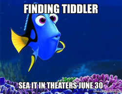 Dory from Nemo  (5 second memory)