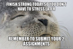 Satisfied Seal