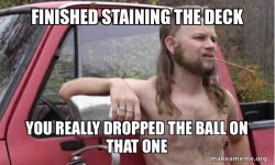 Almost Politically Correct Redneck