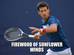 Sudden Clarity Djokovic