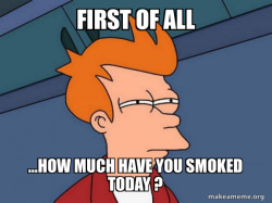 Futurama Fry