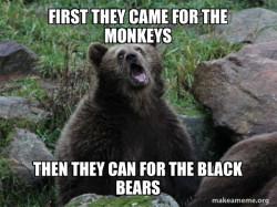 Sarcastic Bear