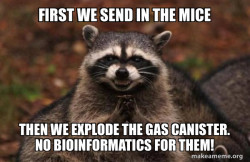 Evil Plotting Raccoon
