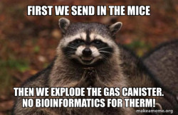 Evil Plotting Raccoon