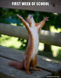 Happy Squirrel
