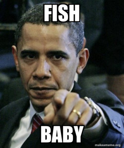 Fish baby 