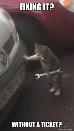 Mechanic Cat