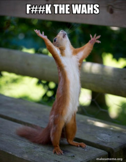 Happy Squirrel
