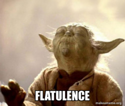 Yoda Smell