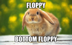 Regretful Rabbit
