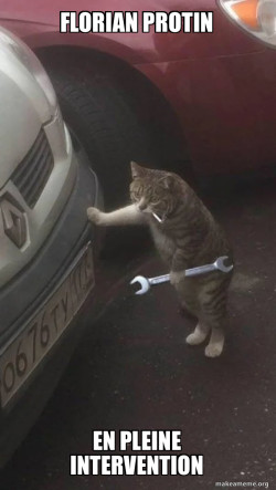 Mechanic Cat