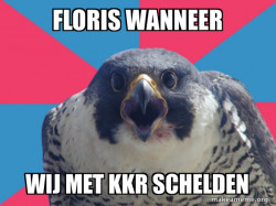 Millennial Falcon