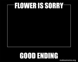 Flower is sorry