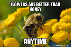 Good Guy Bee