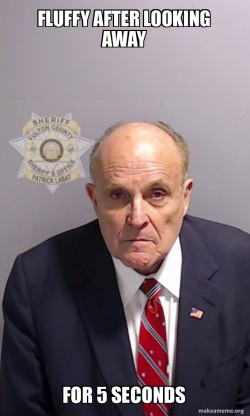 Rudy Giuliani Mugshot