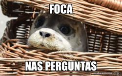 FOCA 1