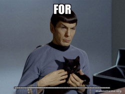 Spock and Cat Meme