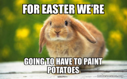 Regretful Rabbit