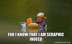 Fashionable Advice Mallard
