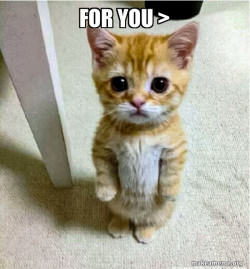 Cute Cat Standing While holding flowers