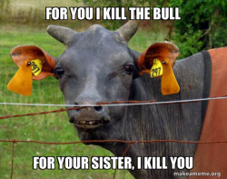 Hairless Cow
