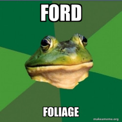 Foul Bachelor Frog