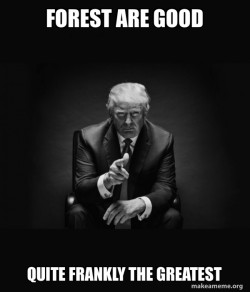 Trump Trees