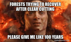 Frodo it's over it's done