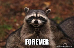 Evil Plotting Raccoon