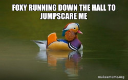 Fashionable Advice Mallard