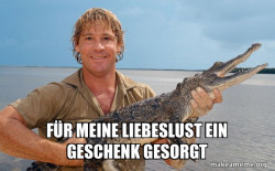 Steve irwin