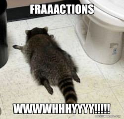 Drunk Raccoon