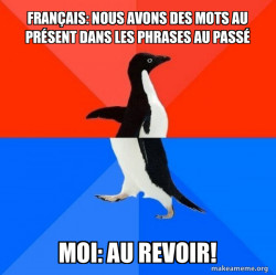 Socially Awesome Awkward Penguin