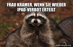 Evil Plotting Raccoon